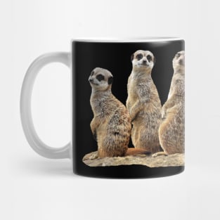 Funny Meercats on a rock in Africa Mug